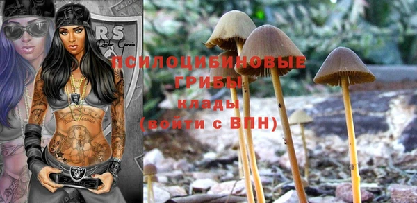 мдпв Каменск-Шахтинский