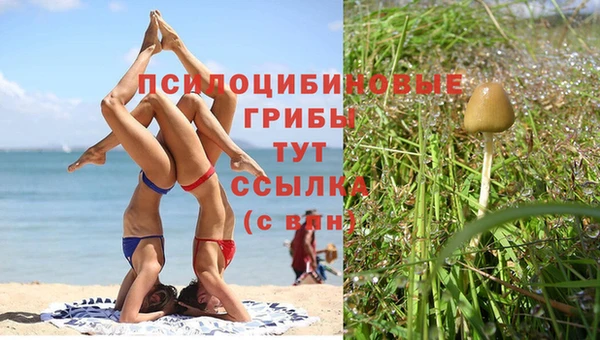 мдпв Каменск-Шахтинский